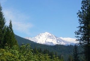 Mt. Shasta